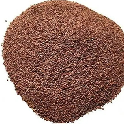 Lajwanti Seeds - Chuimui - Mimosa Pudica - Sensitive Plant Seeds- Bulk  Supplier@TheWholesalerCo Prices  TheWholesalerCo India