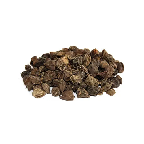 Lasoda - Lisodha - Lesuya - Dry Lesua - Cordia myxa | TheWholesaler |