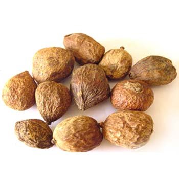 Mend Phal - Randia dumetorum - Med Phal - Madan Phal - Emetic Nut | TheWholesalerCo