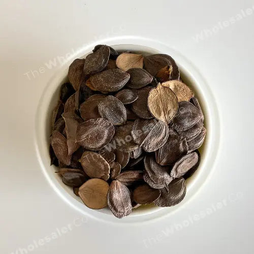 Parijat Patta seed - Harshringar Beej - Harshingar Seeds - Paarijaat Beej - Nyctanthes Arbor-Tristis | TheWholesalerCo