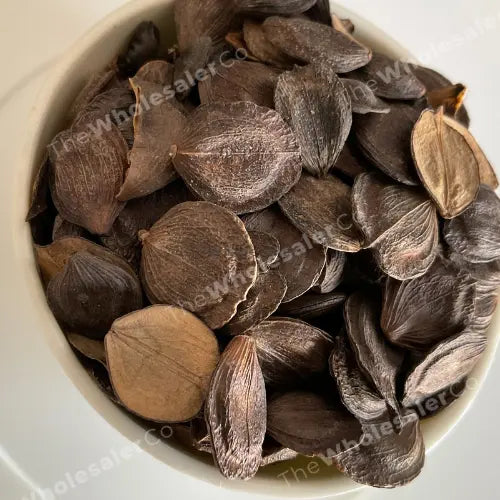 Parijat Patta seed - Harshringar Beej - Harshingar Seeds - Paarijaat Beej -  Nyctanthes Arbor-Tristis- Bulk Supplier@TheWholesalerCo Prices   TheWholesalerCo India