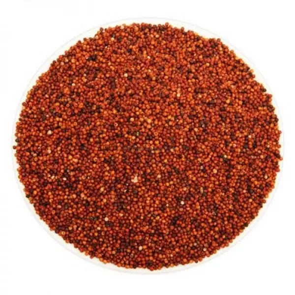 thewholesalerco-Ragi - Raagi - Mandwa - Madua - Finger Millet - Eleusine coracana