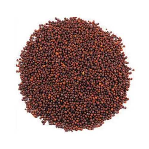 Red Mustard Seeds - Rai Seeds - Brassica juncea Product vendor