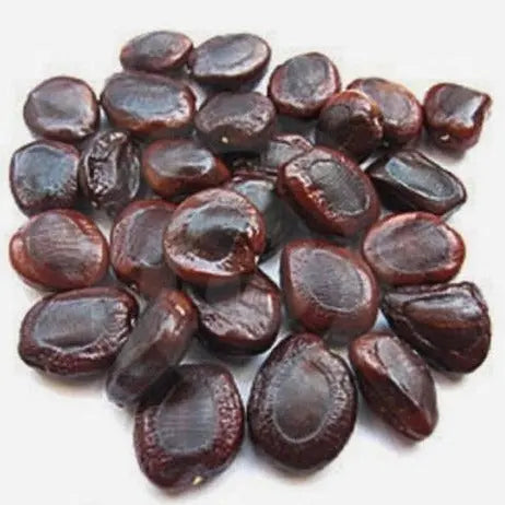 Tamarind Seeds Small - Beej Imli Choti - Tamarindus Indica - Emli Seeds Small | TheWholesaler |