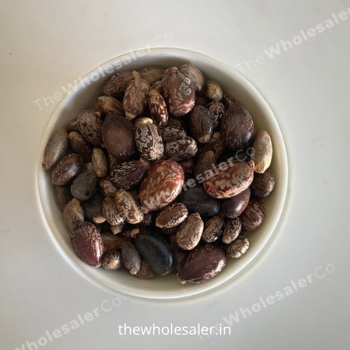 thewholesalerco-Beej Arandi - Ricinus Communis Linn - Castor Seeds