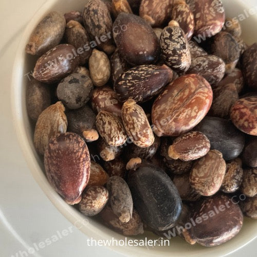 thewholesalerco-Beej Arandi - Ricinus Communis Linn - Castor Seeds