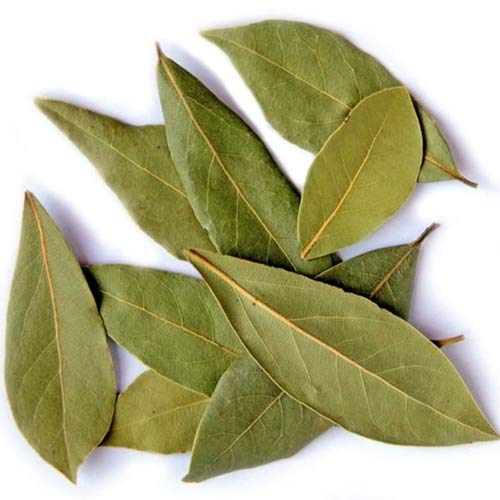 Tej Patta Leaves - Cinnamomum Tamala - Bay Leaves | 1Kg, 5Kg Wholesale price |