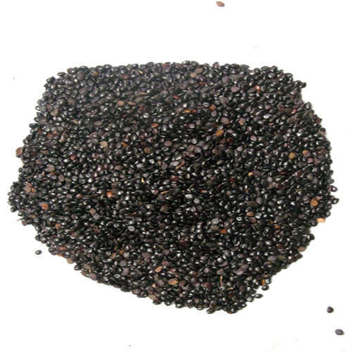 Chaksoo Seeds - Chaksu - Chaskoo Seeds - Cassia Absus | 1Kg, 5Kg - Wholesale price |