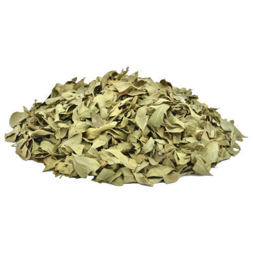Henna Leaves - Mehndi Patta - Mehandi Leaf -  Lawsonia inermis | 1Kg, 5Kg Wholesale price |