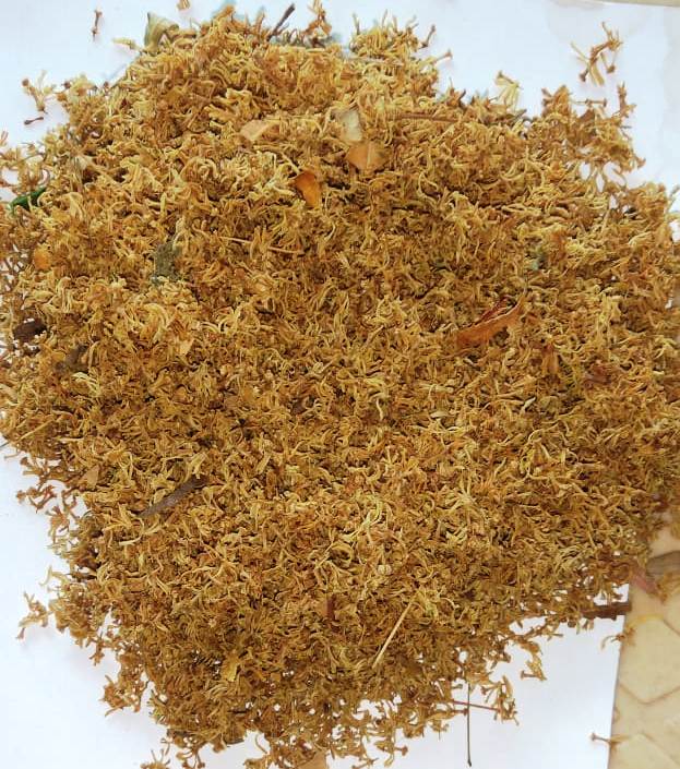 Neem flower (Dried) - Azadirachta Indica | 1Kg, 5Kg Wholesale price |