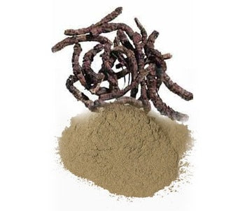 Kutki Powder - Katuki Powder - Picrorhiza Kurroa - Hellabore | 1Kg, 5Kg Wholesale price |