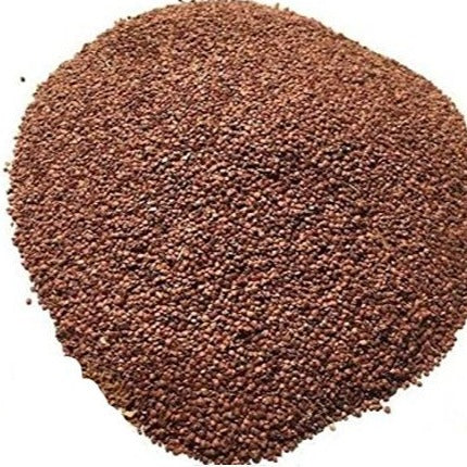 Lajwanti Seeds - Chuimui - Mimosa Pudica - Sensitive Plant Seeds | TheWholesaler |