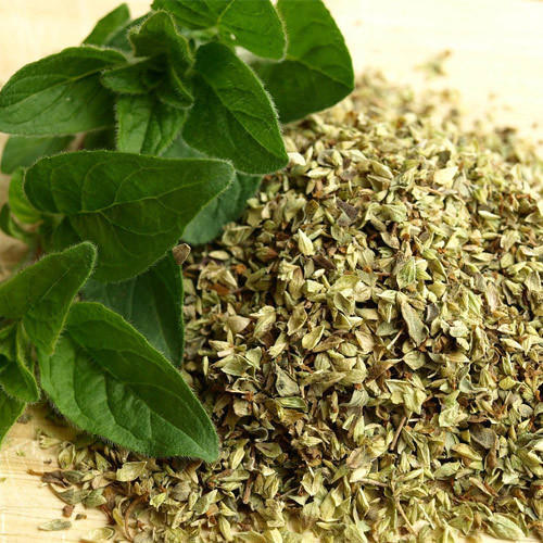 Oregano - Origanum vulgare - Flakes - Spice and Herb - TheWholesalerCo |
