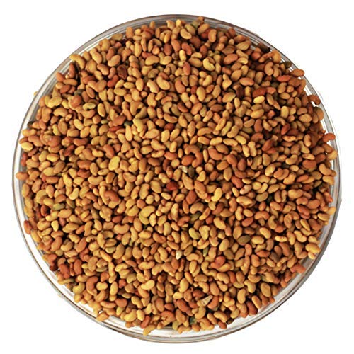 thewholesalerco-Alfalfa Seed - Hedge Lucerne Seeds - Medicago sativa