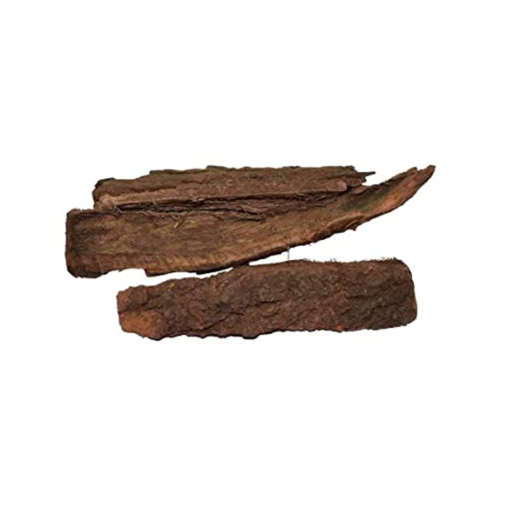 Babool Bark - Kikar Chaal - Babul Bark - Vachellia nilotica - Acacia Tree Bark | TheWholesalerCo