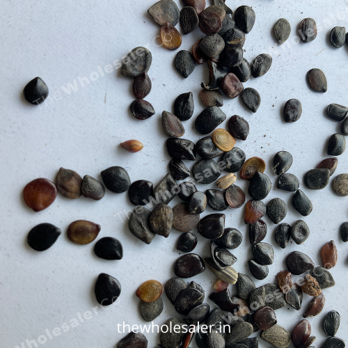 Chaksoo Seeds - Chaksu - Chaskoo Seeds - Cassia Absus - TheWholesalerCo