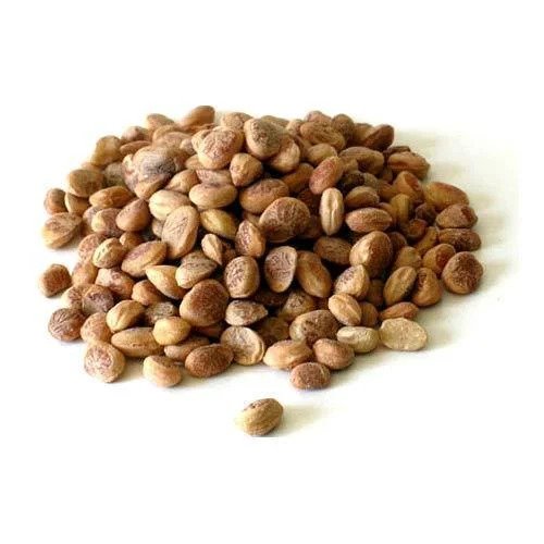 thewholesalerco-Chironji - Cheronjee - Cuddapah almond - Buchanania cochinchinensis