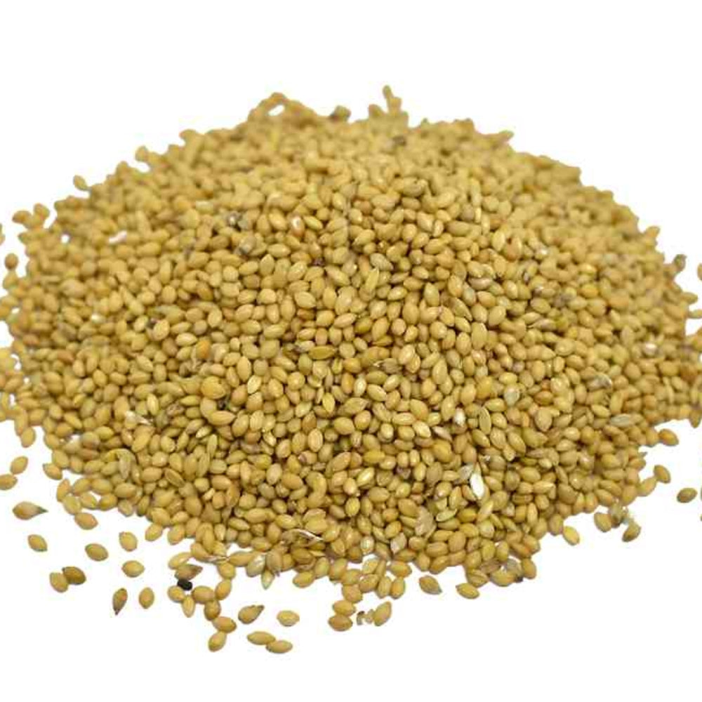 thewholesalerco-Kangni Beej - Naaj Kangni Beej - Anaj Kangni Seeds - Foxtail Millets - Setaria italica