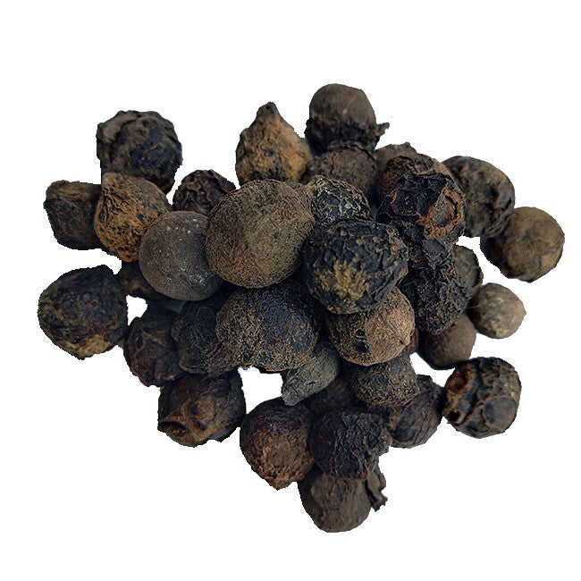 thewholesalerco-Sugandh Kokila - Laurel Berry - Cinnamomum cecidodaphne - Cinnamomum glaucescens