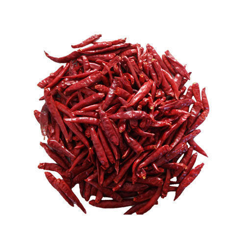Red Chilli - Lal Mirch - Capsicum Annuum