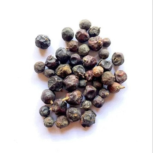 Hauber - Juniperus communis Linn - Juniper Berry | TheWholesalerCo