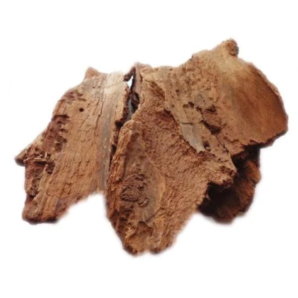 Pipal Chaal - Peepal Bark - Pipal Chhal - Ficus religiosa | TheWholesalerCo