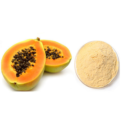 Papaya Powder - Carica papaya | TheWholesalerCo