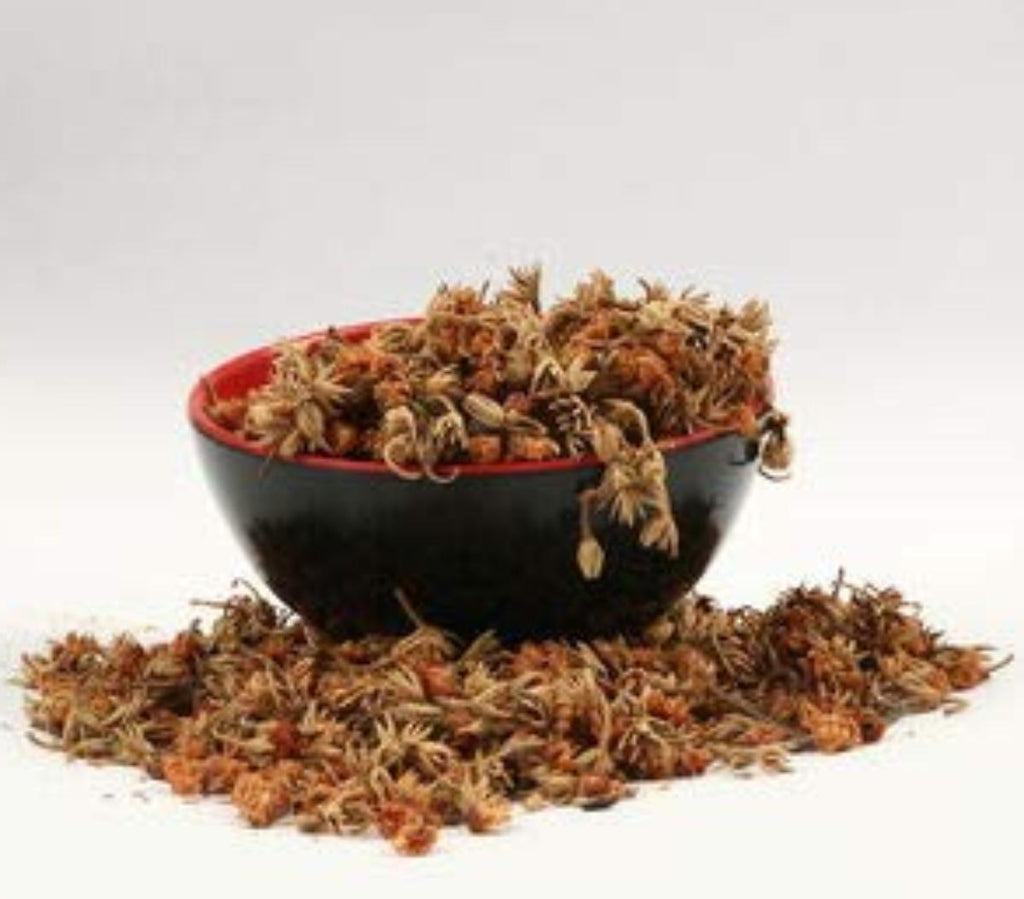 Dried Magilampoo Flower - Mimusops elengi - Dry Spanish cherry Flower | TheWholesalerCo |