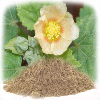 Bala Root Powder - Balamoola - Sida cordifolia |