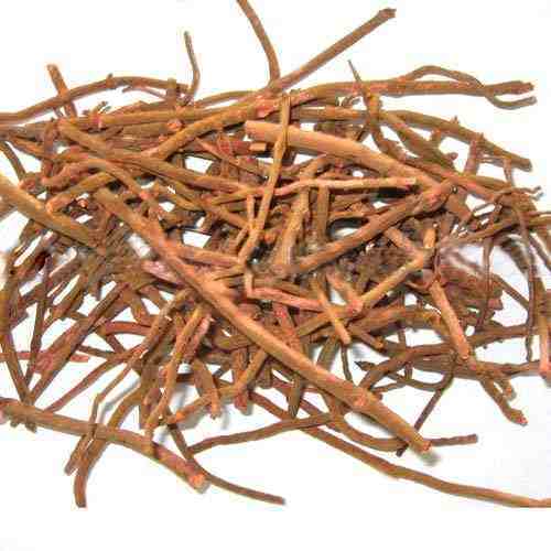 Manjistha root - Rubia cordifolia - Manjith - Majeeth - Madder | TheWholesalerCo |
